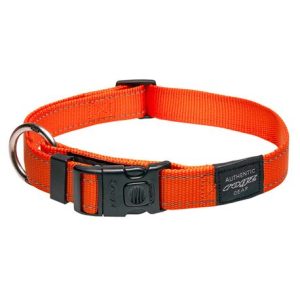 Collare per cani – Rogz Utility arancione – M