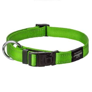 Collare per cani – Rogz Utility verde – L